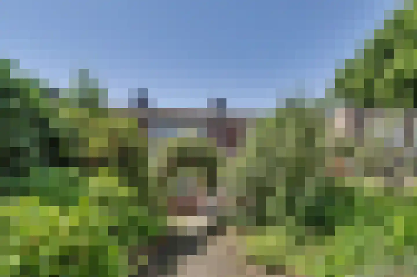 Kastanjelaan 111 Oosterhout thumbnail 17