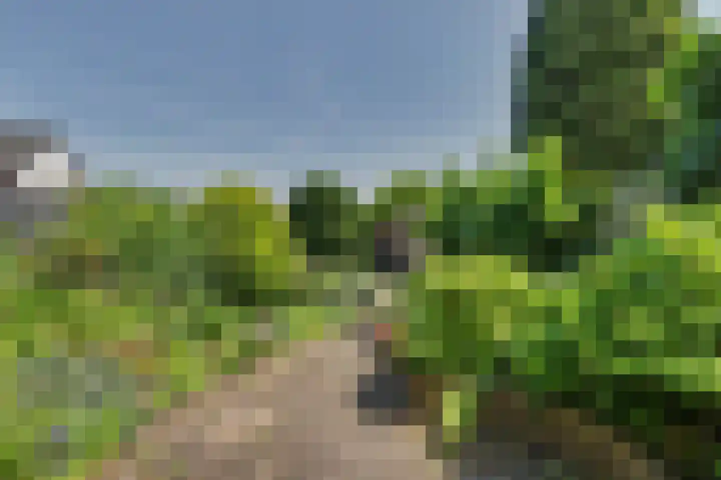 Kastanjelaan 111 Oosterhout thumbnail 18