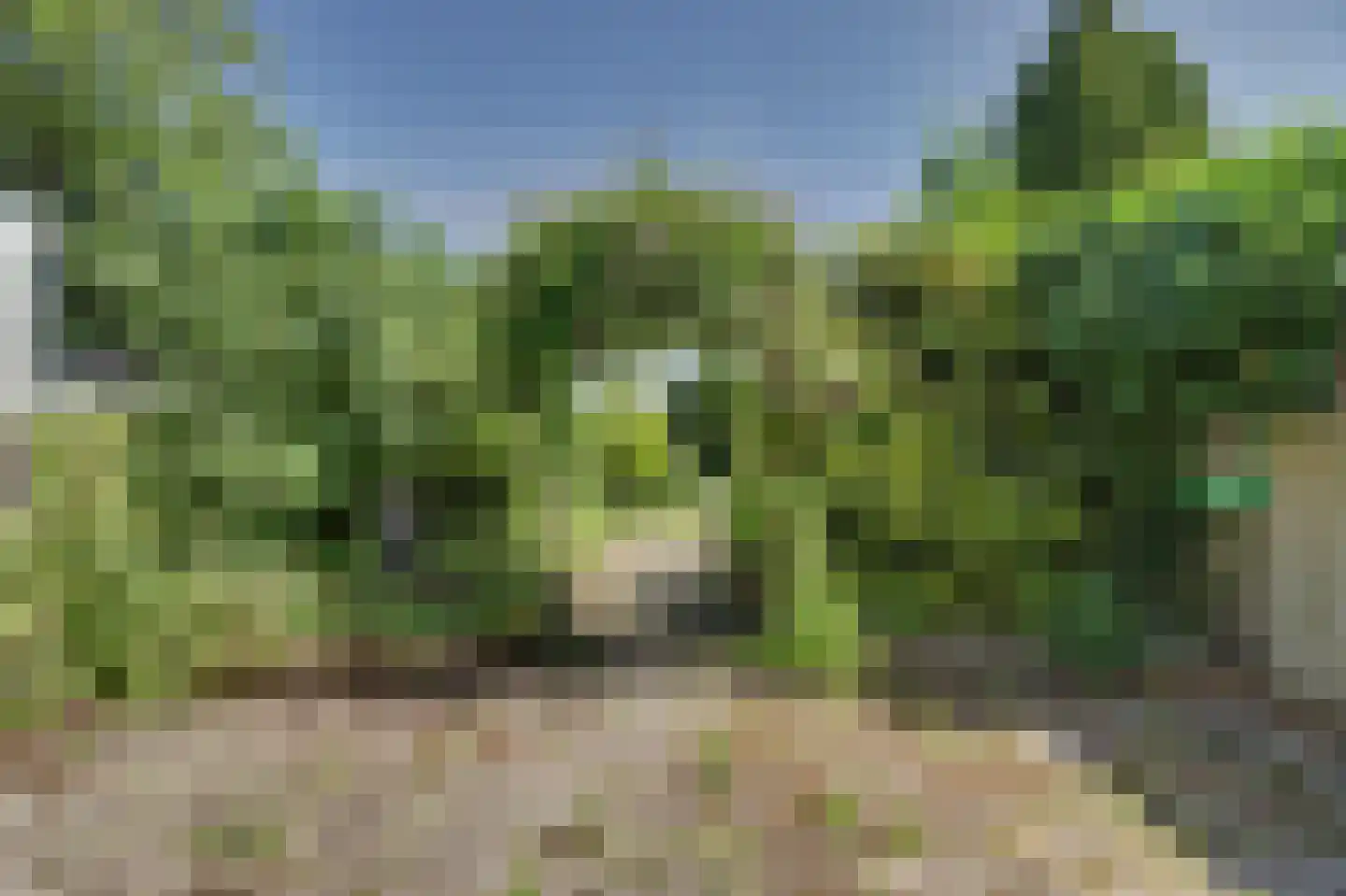 Kastanjelaan 111 Oosterhout thumbnail 19