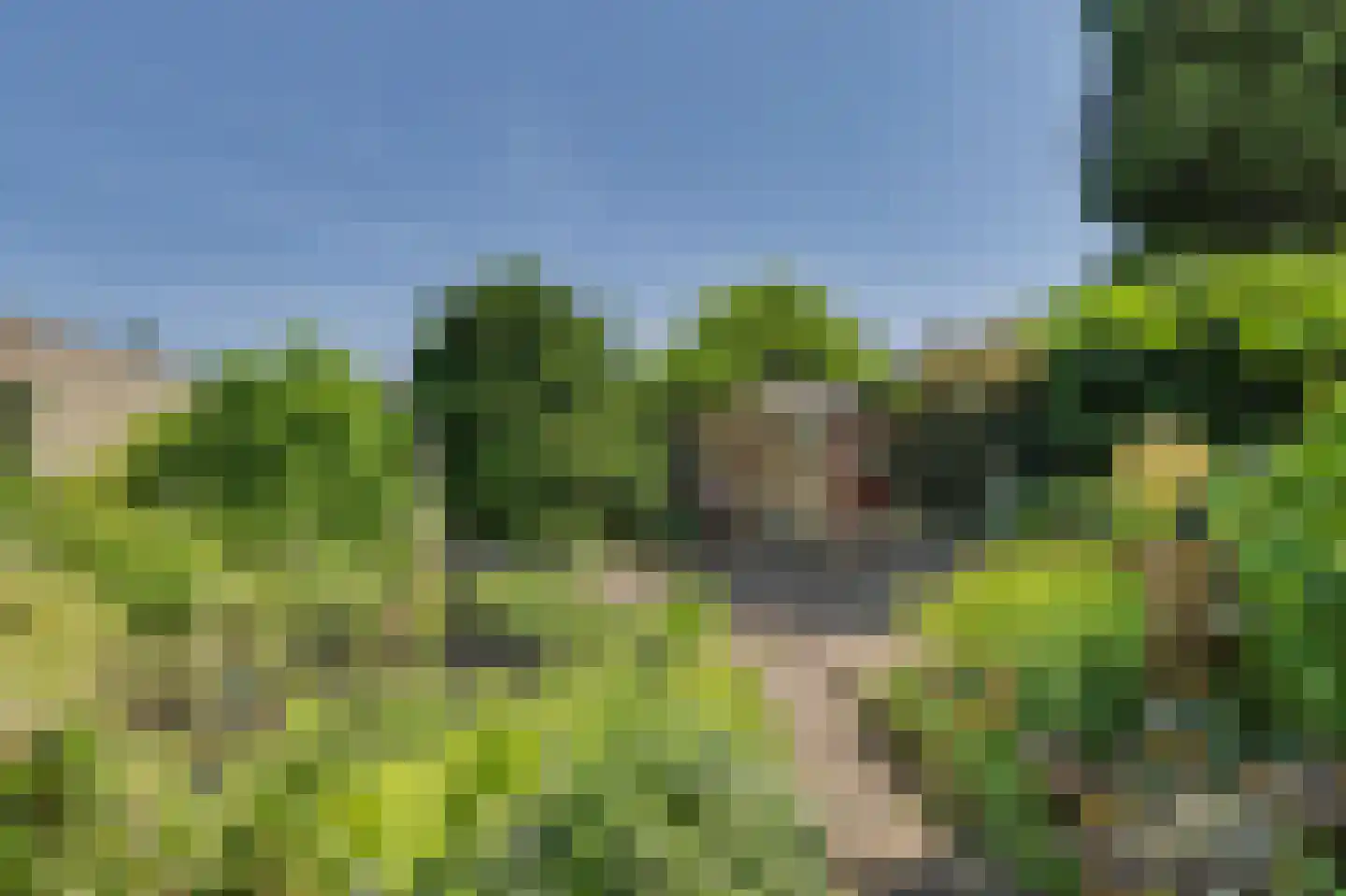 Kastanjelaan 111 Oosterhout thumbnail 20