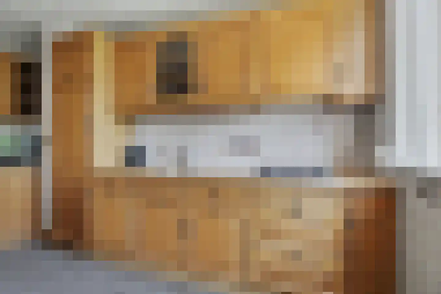 Kastanjelaan 111 Oosterhout thumbnail 4