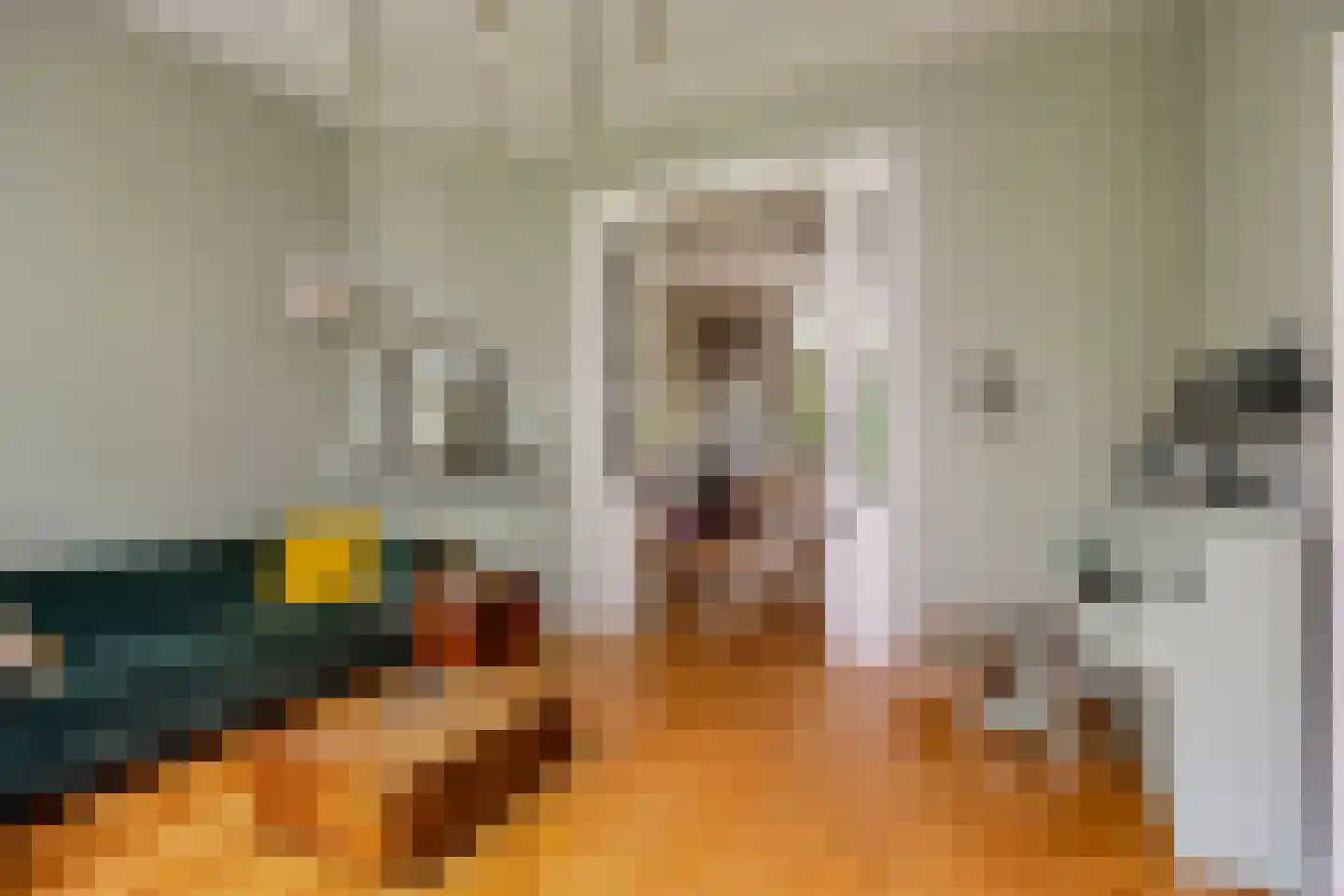 Kastanjelaan 12 Arnhem thumbnail 11
