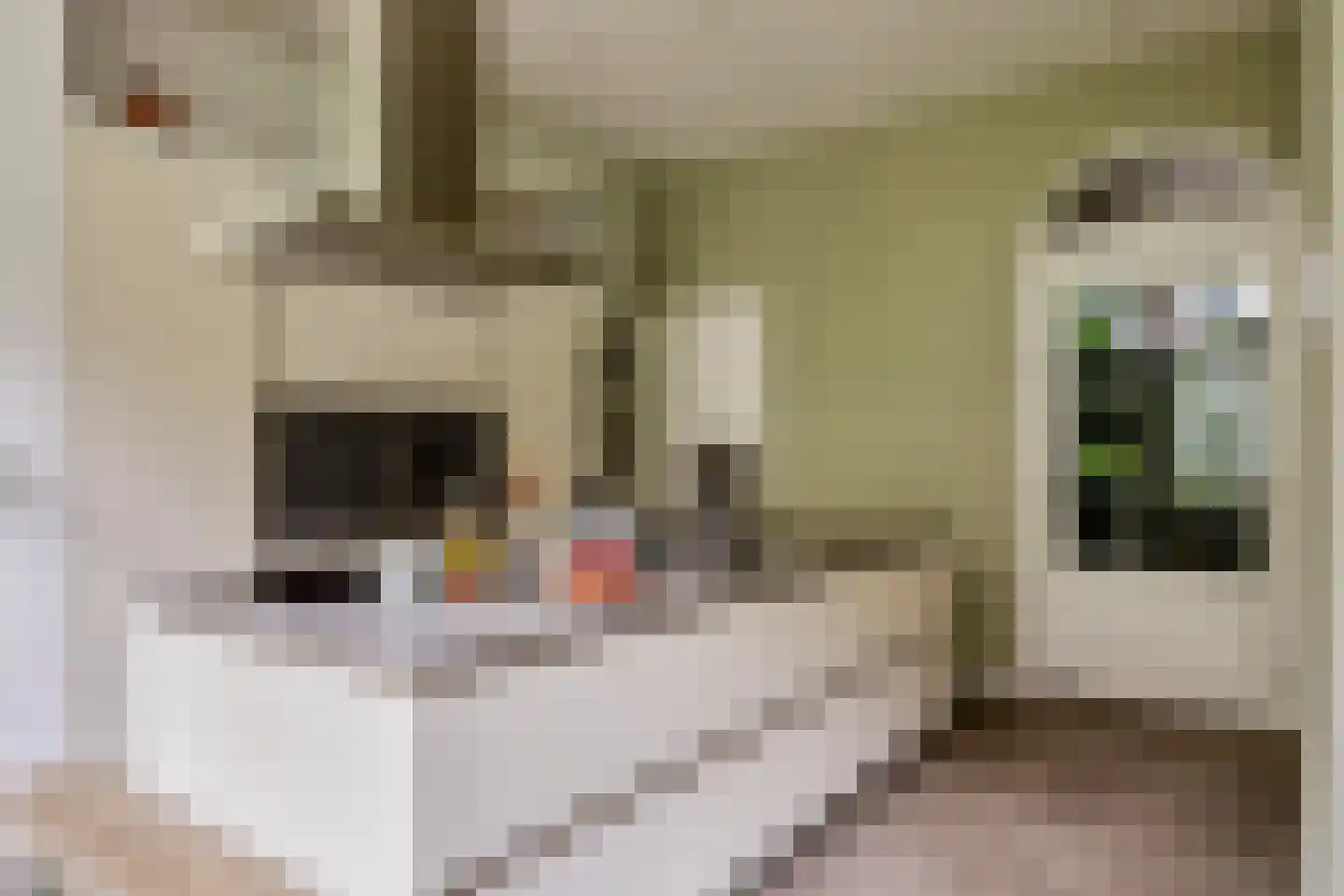 Kastanjelaan 12 Arnhem thumbnail 12