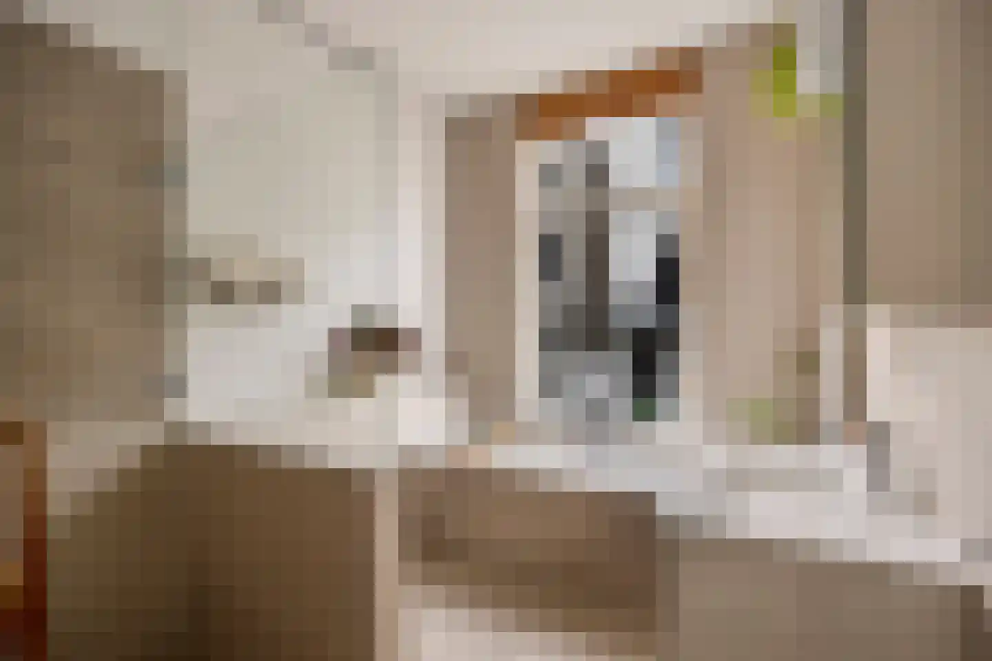 Kastanjelaan 12 Arnhem thumbnail 21