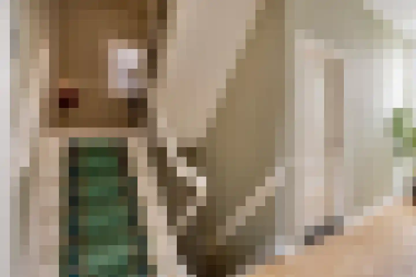 Kastanjelaan 12 Arnhem thumbnail 24