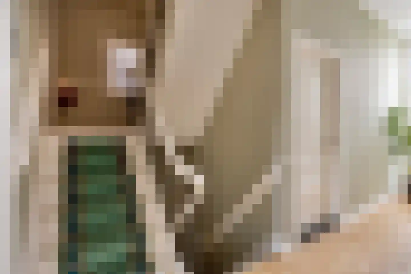 Kastanjelaan 12 Arnhem thumbnail 24