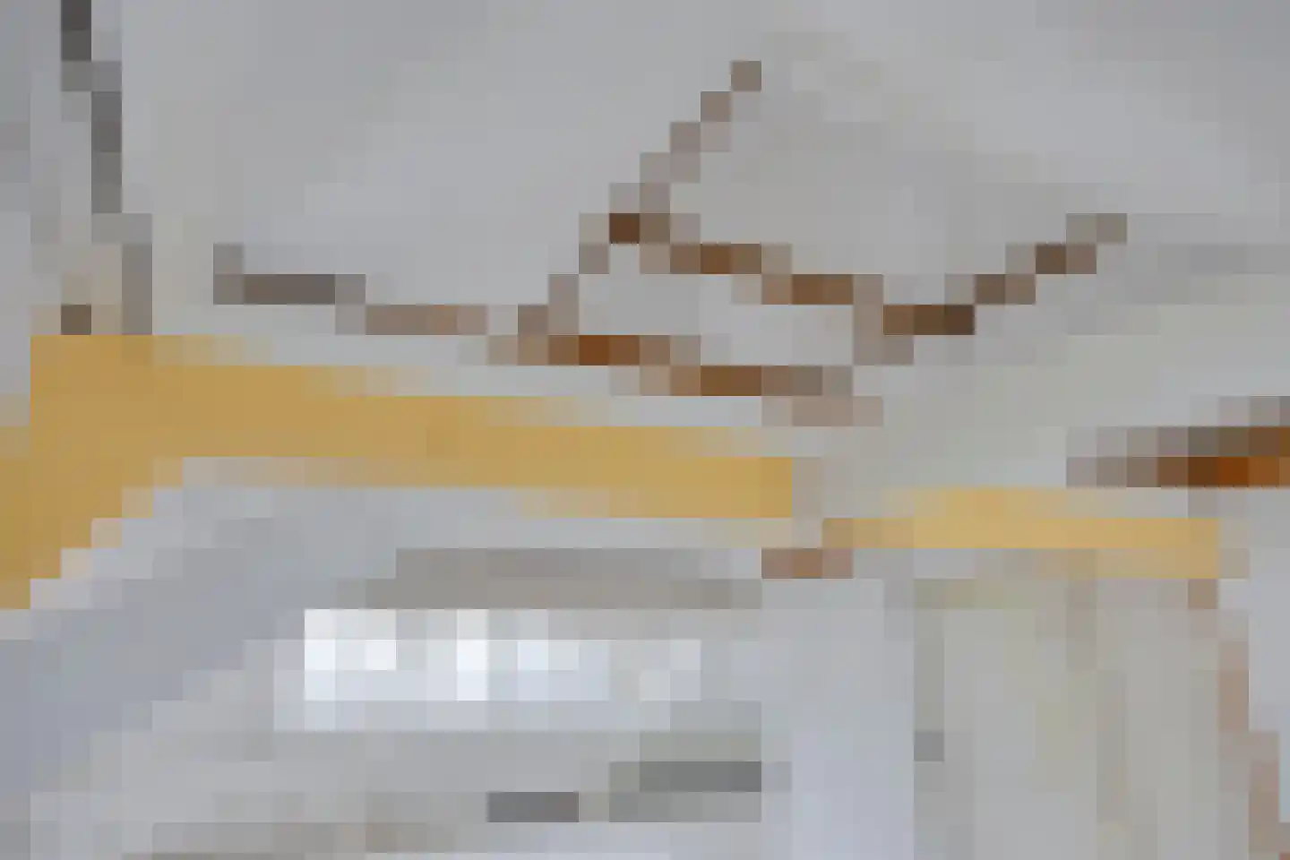Kastanjelaan 12 Arnhem thumbnail 30