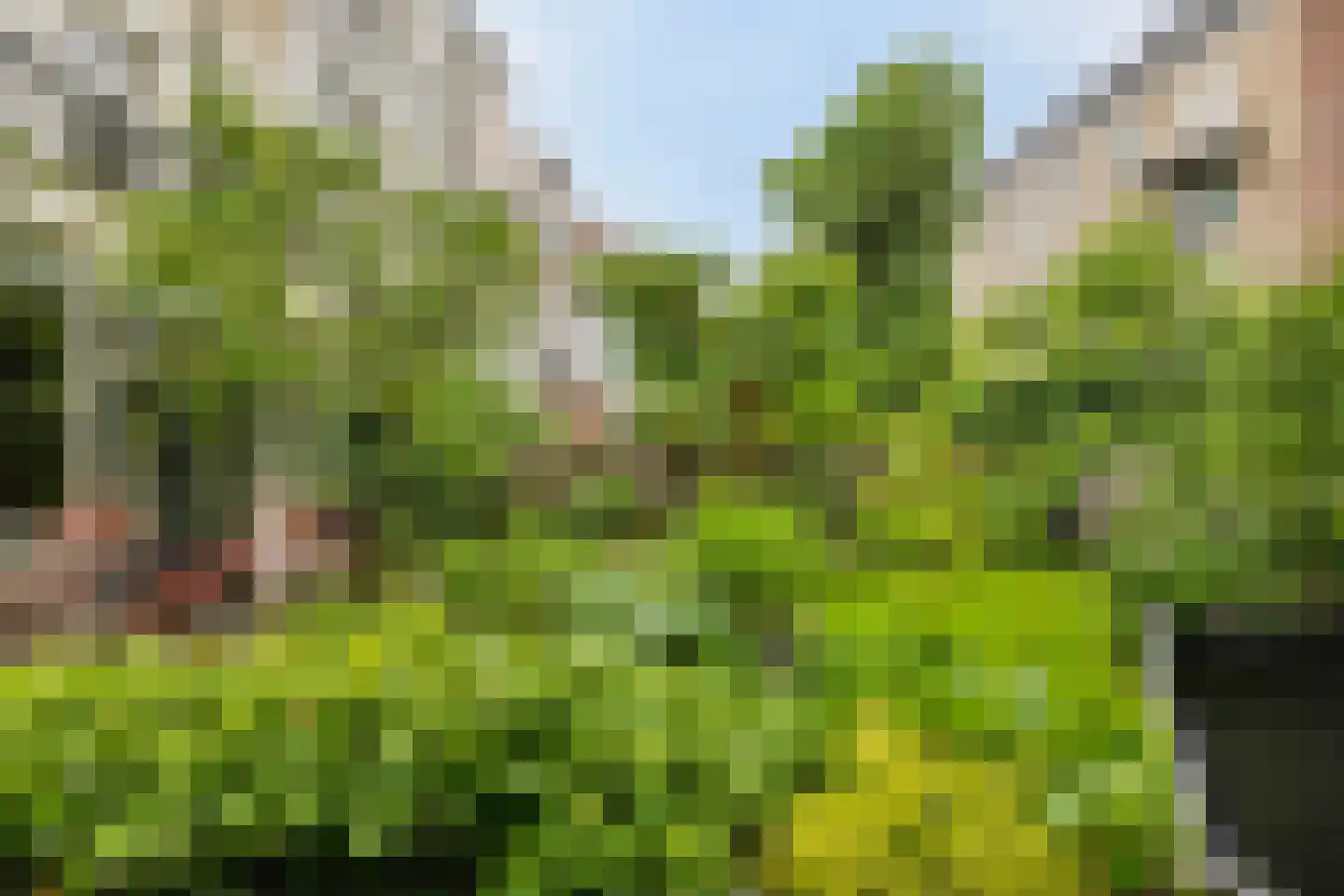 Kastanjelaan 12 Arnhem thumbnail 32
