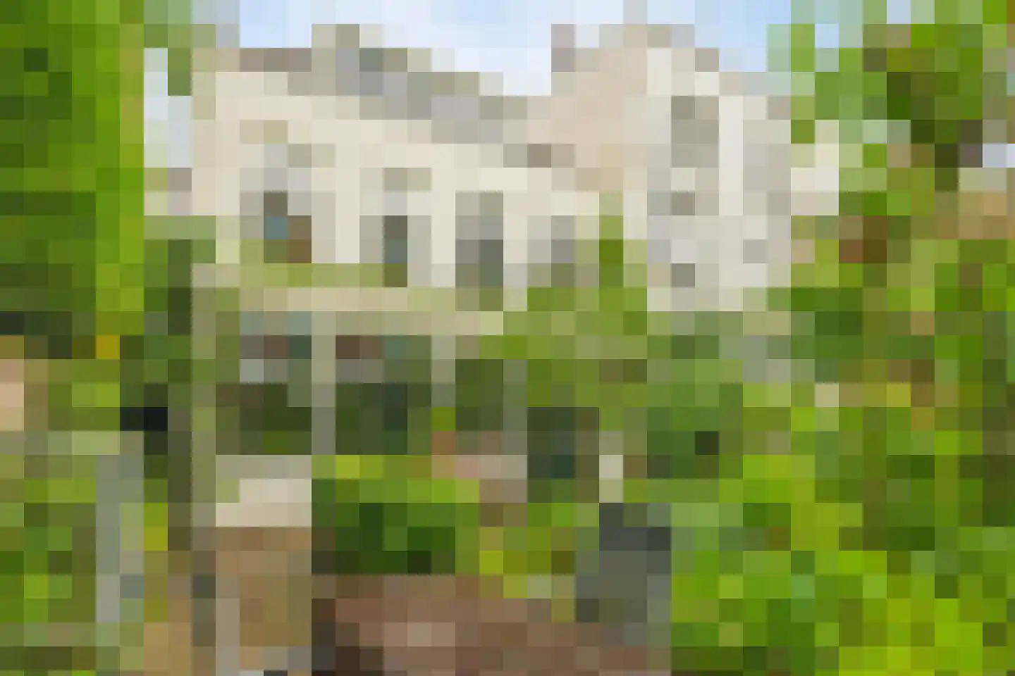 Kastanjelaan 12 Arnhem thumbnail 33