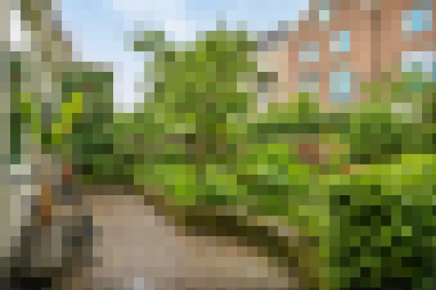 Kastanjelaan 12 Arnhem thumbnail 34