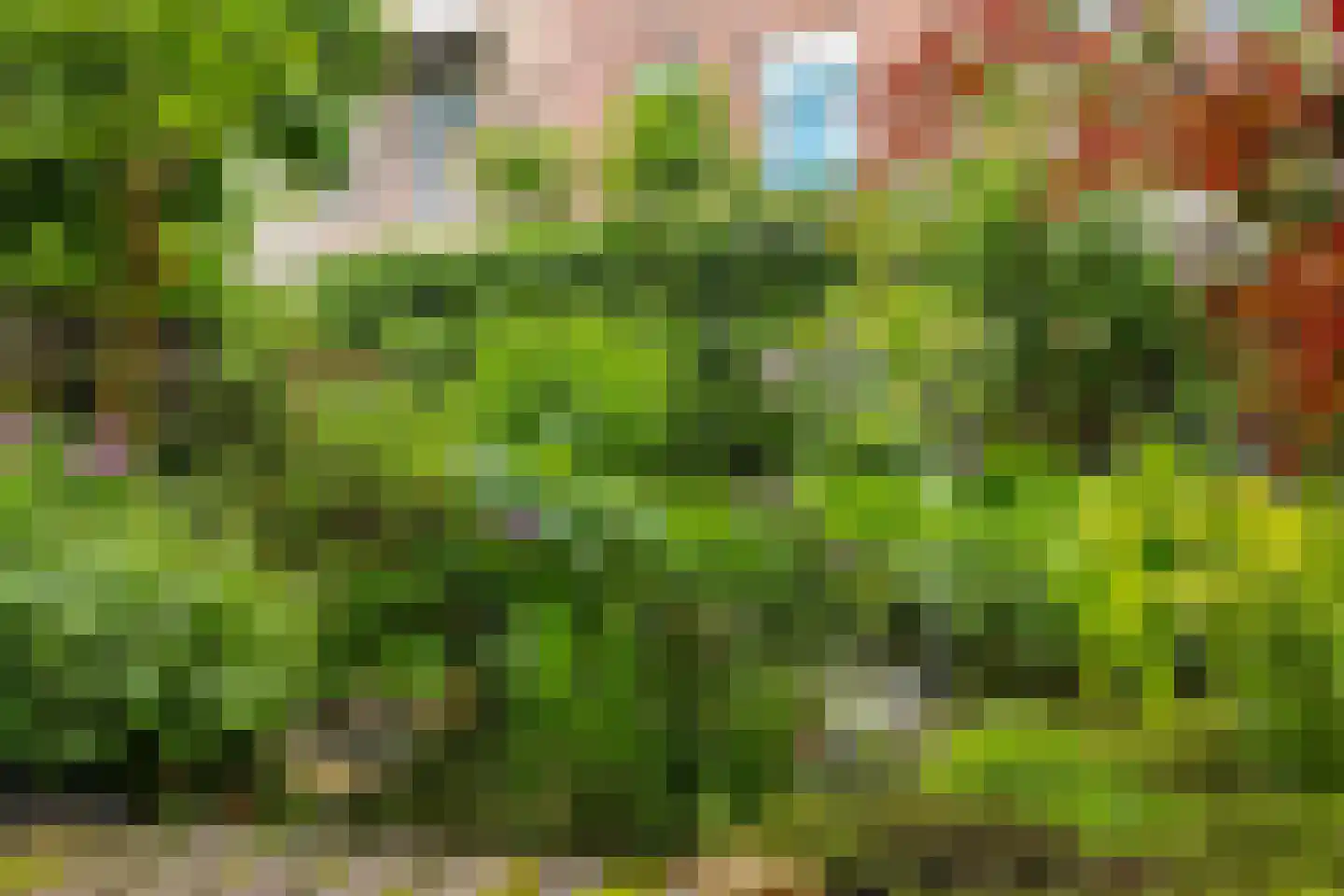 Kastanjelaan 12 Arnhem thumbnail 35