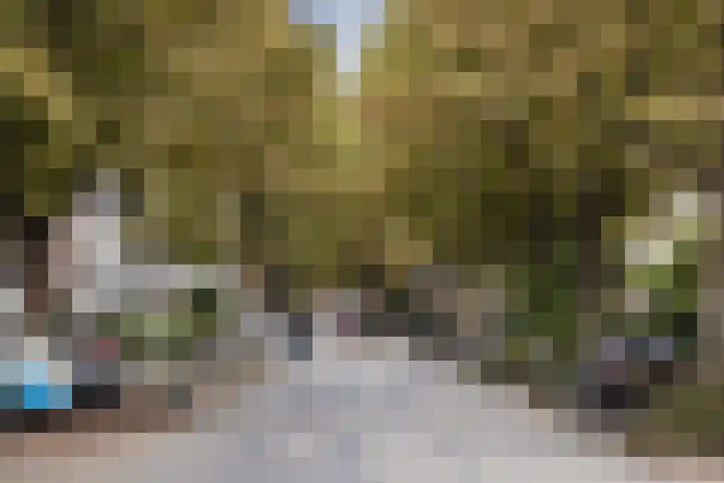 Kastanjelaan 12 Arnhem thumbnail 39