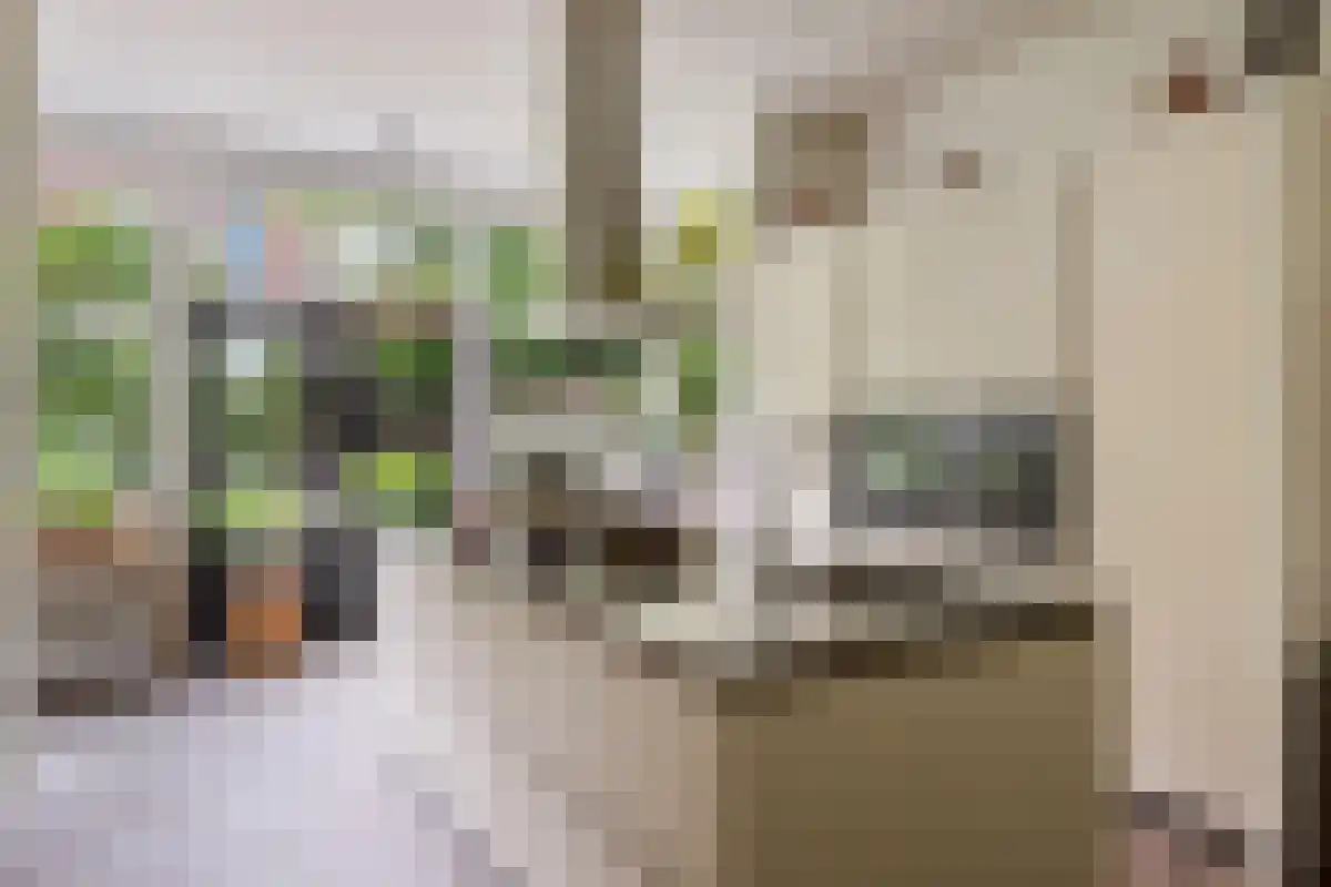 Kastanjelaan 12 Arnhem thumbnail 4