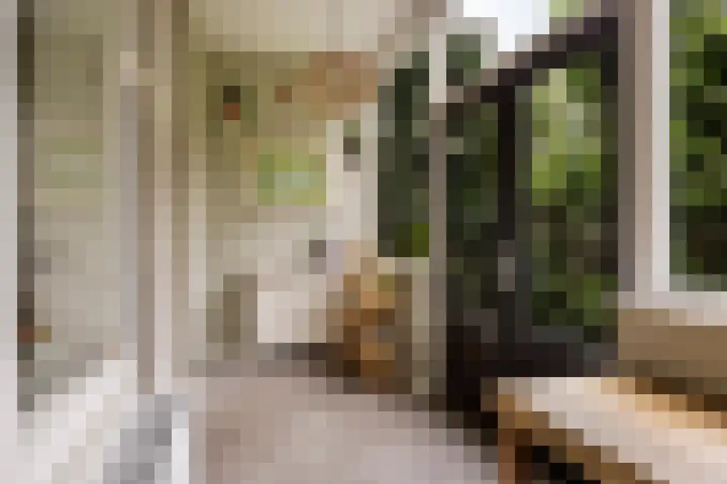 Kastanjelaan 12 Arnhem thumbnail 5