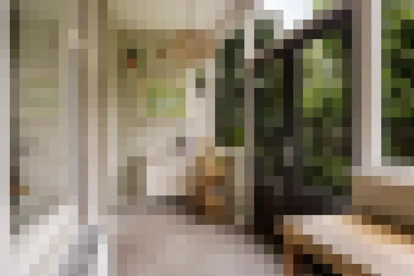 Kastanjelaan 12 Arnhem thumbnail 5