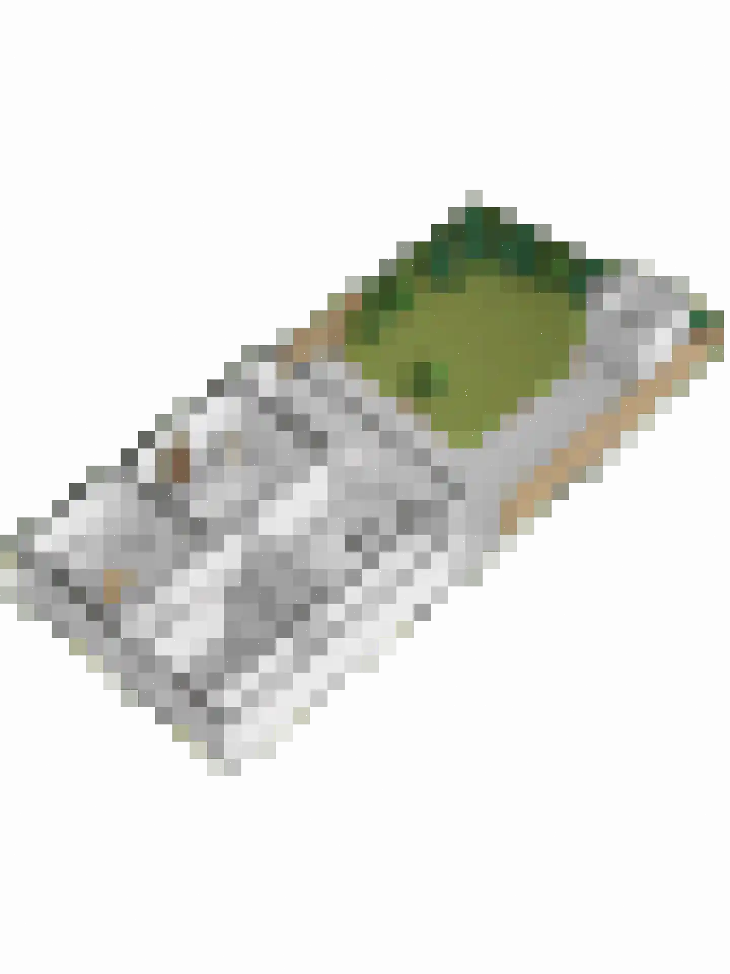 Kastanjelaan 12 Arnhem thumbnail 53