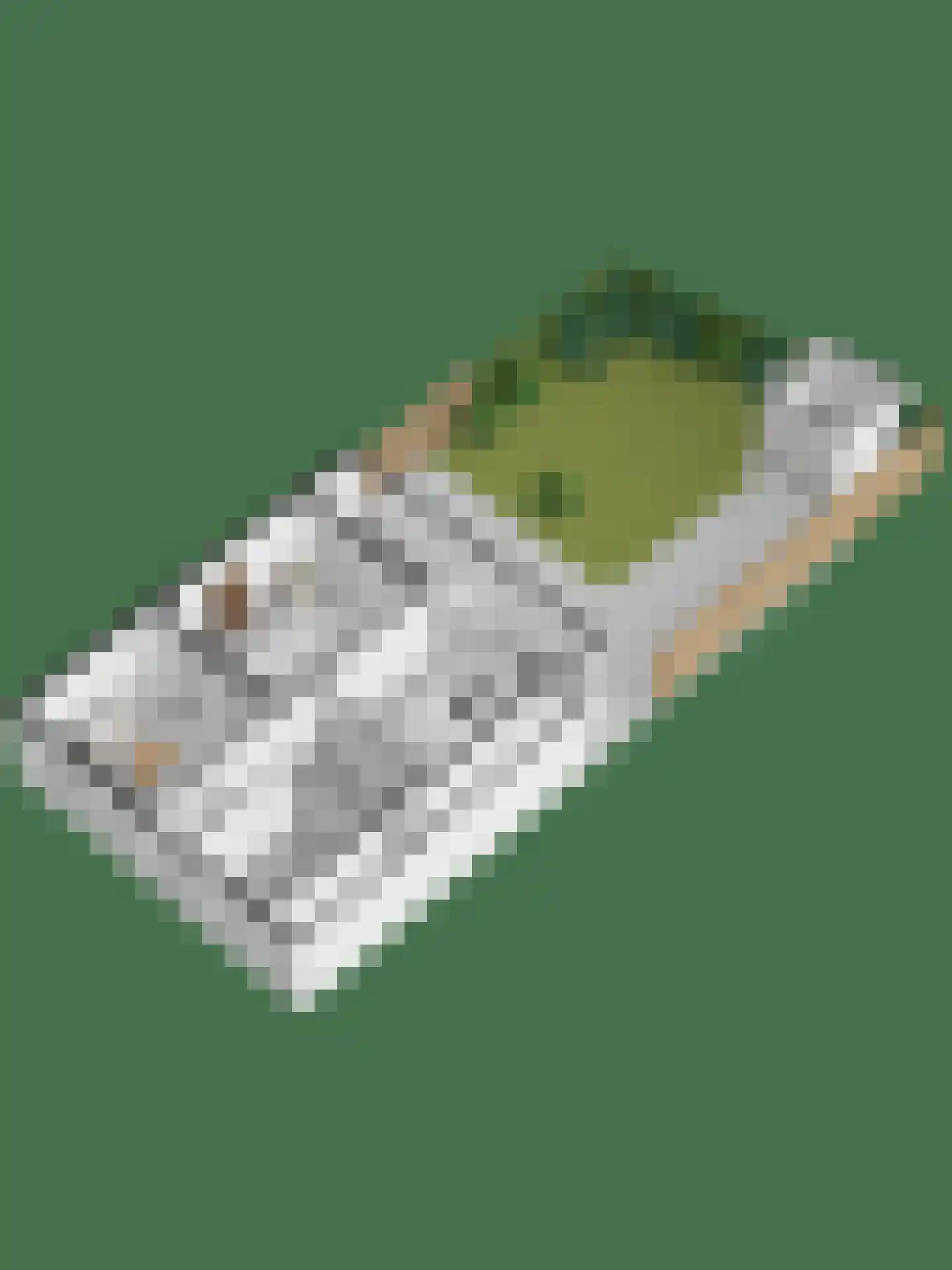 Kastanjelaan 12 Arnhem thumbnail 53