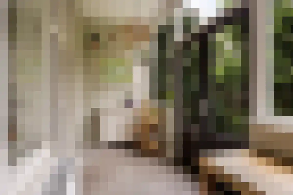 Kastanjelaan 12 Arnhem thumbnail 6
