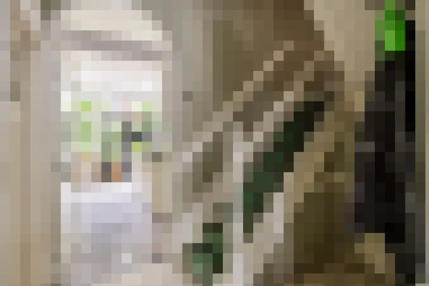 Kastanjelaan 12 Arnhem thumbnail 8