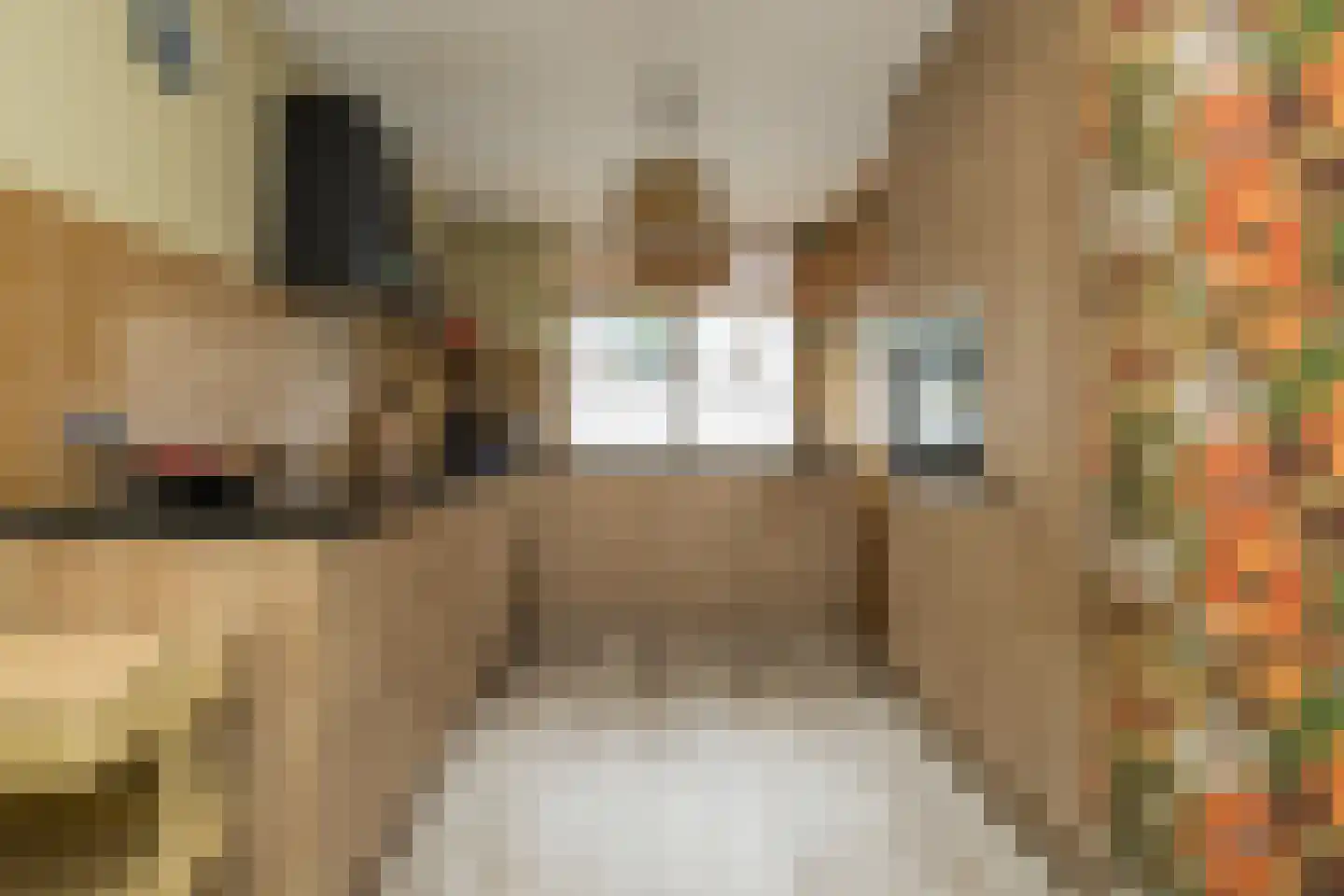 Kastanjelaan 12 Hillegom thumbnail 12