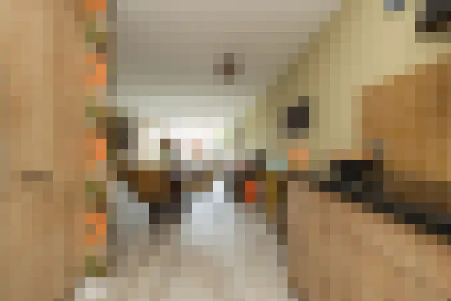 Kastanjelaan 12 Hillegom thumbnail 14