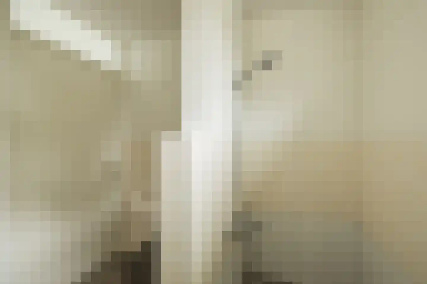 Kastanjelaan 12 Hillegom thumbnail 29