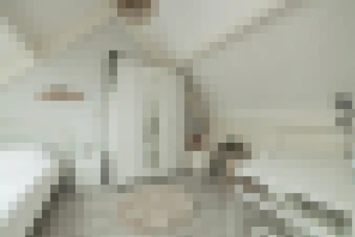Kastanjelaan 12 Hillegom thumbnail 32