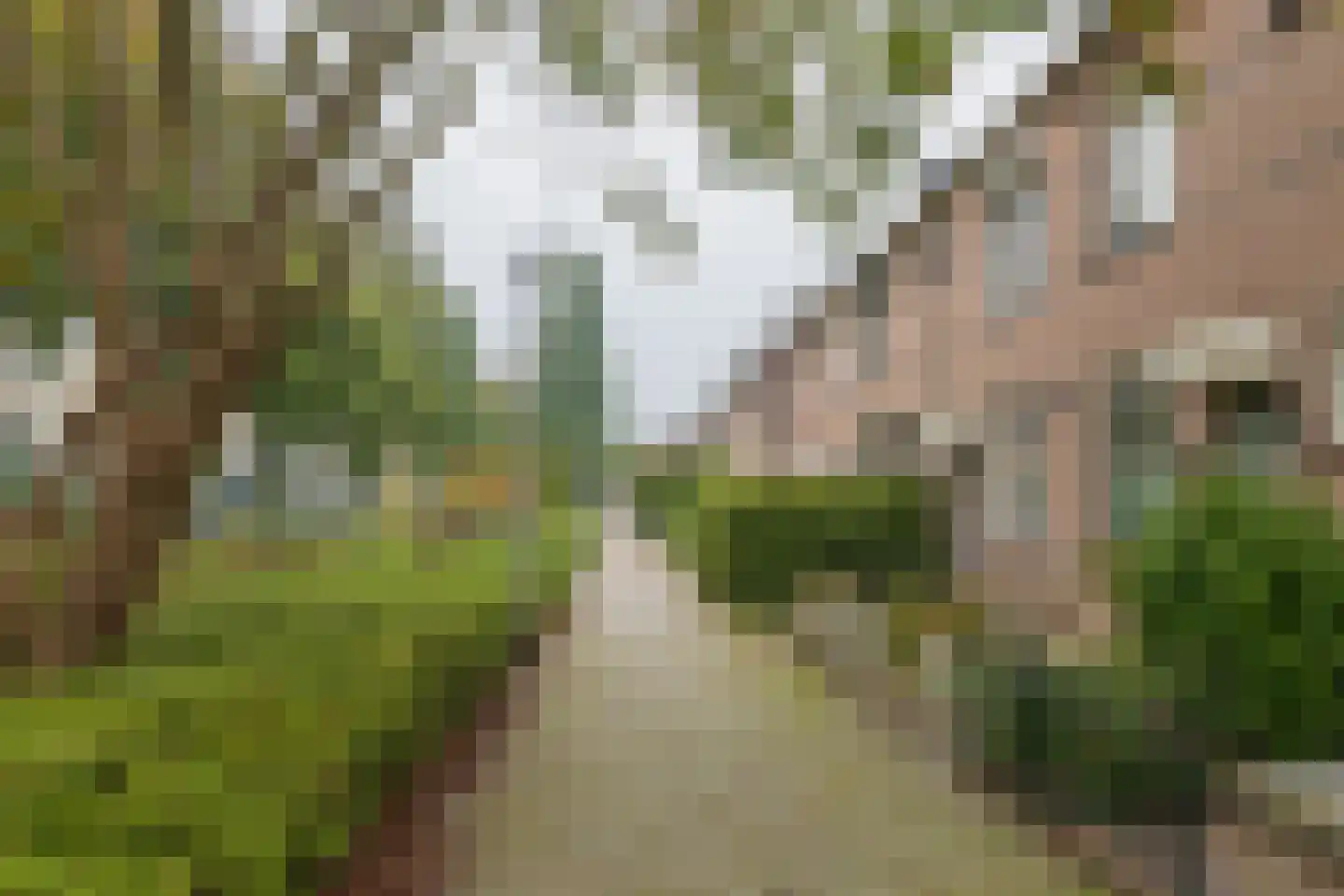 Kastanjelaan 12 Hillegom thumbnail 47