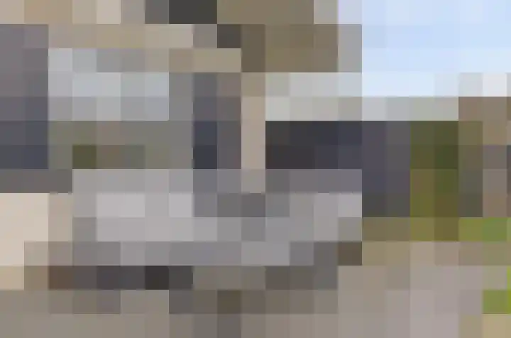 Kastanjelaan 12 Kamperland thumbnail 21
