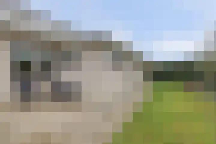 Kastanjelaan 12 Kamperland thumbnail 22
