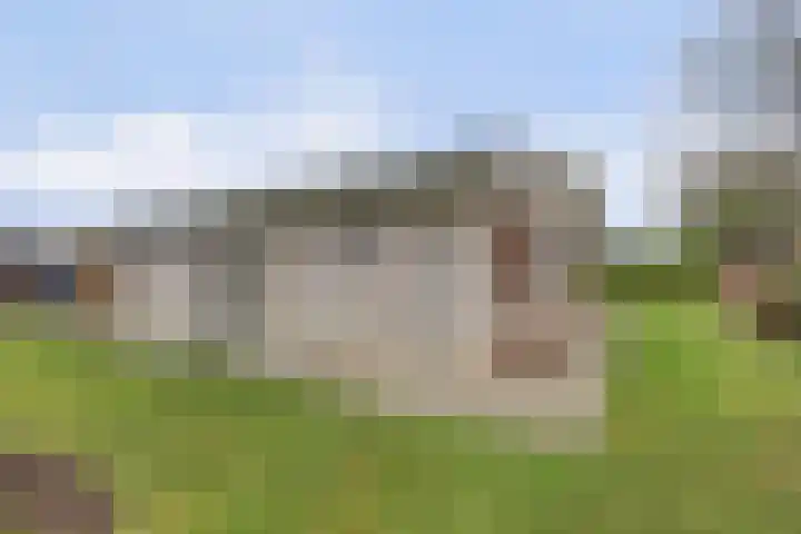 Kastanjelaan 12 Kamperland thumbnail 23
