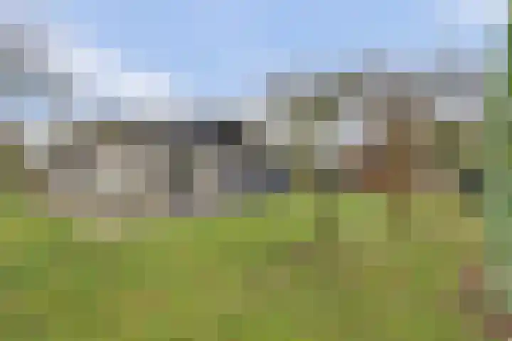 Kastanjelaan 12 Kamperland thumbnail 24