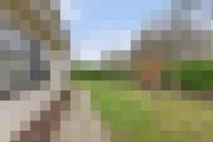 Kastanjelaan 12 Kamperland thumbnail 25
