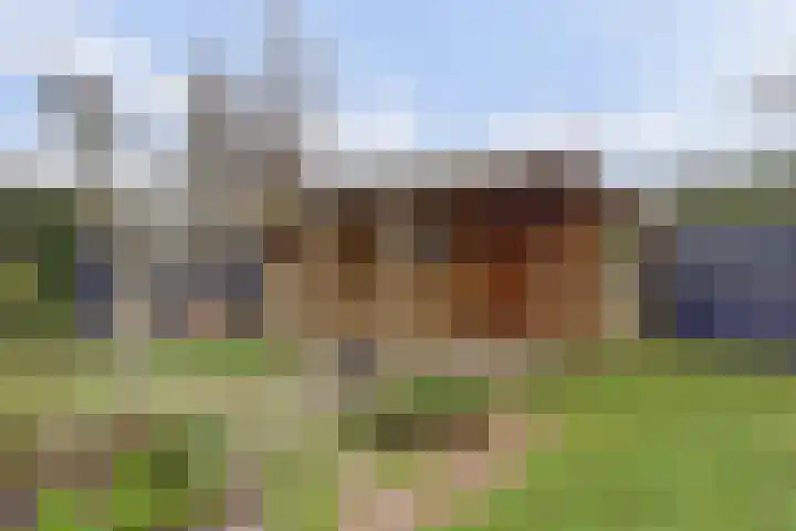 Kastanjelaan 12 Kamperland thumbnail 26