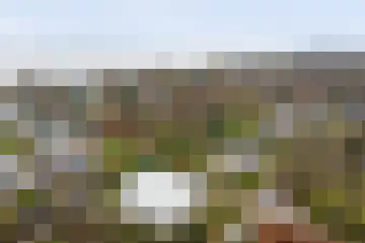 Kastanjelaan 12 Kamperland thumbnail 30