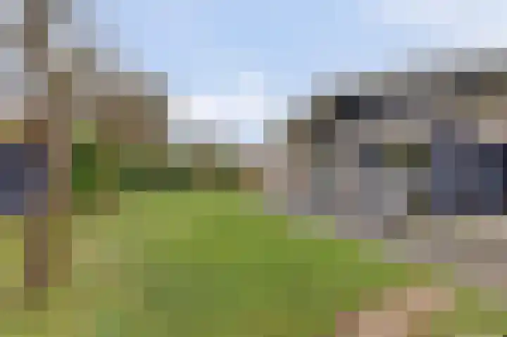 Kastanjelaan 12 Kamperland thumbnail 4