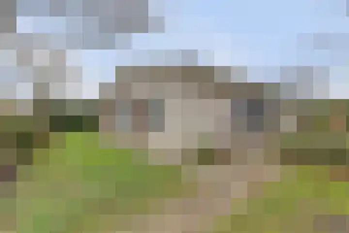 Kastanjelaan 12 Kamperland thumbnail 7