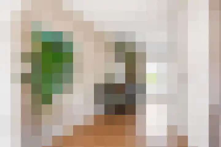 Kastanjelaan 12 Nieuwolda thumbnail 12