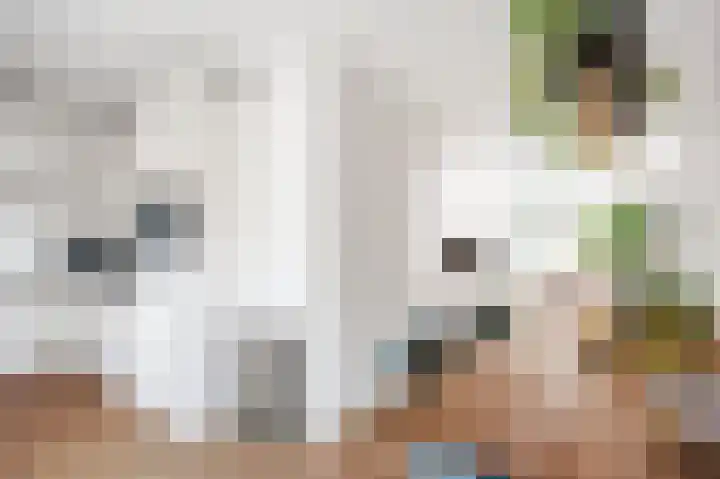 Kastanjelaan 12 Nieuwolda thumbnail 13