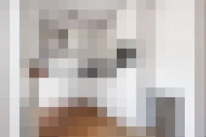 Kastanjelaan 12 Nieuwolda thumbnail 14