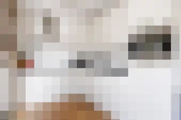Kastanjelaan 12 Nieuwolda thumbnail 16