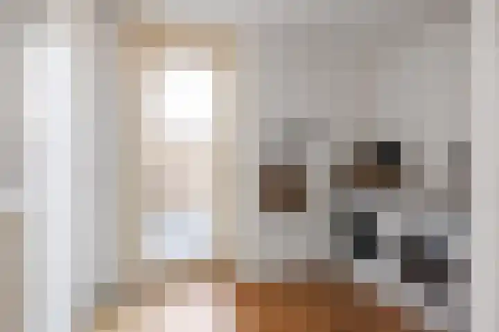Kastanjelaan 12 Nieuwolda thumbnail 18