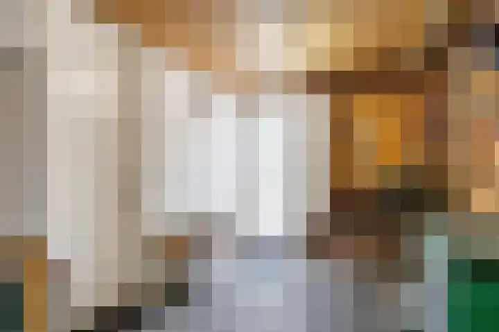Kastanjelaan 12 Nieuwolda thumbnail 35