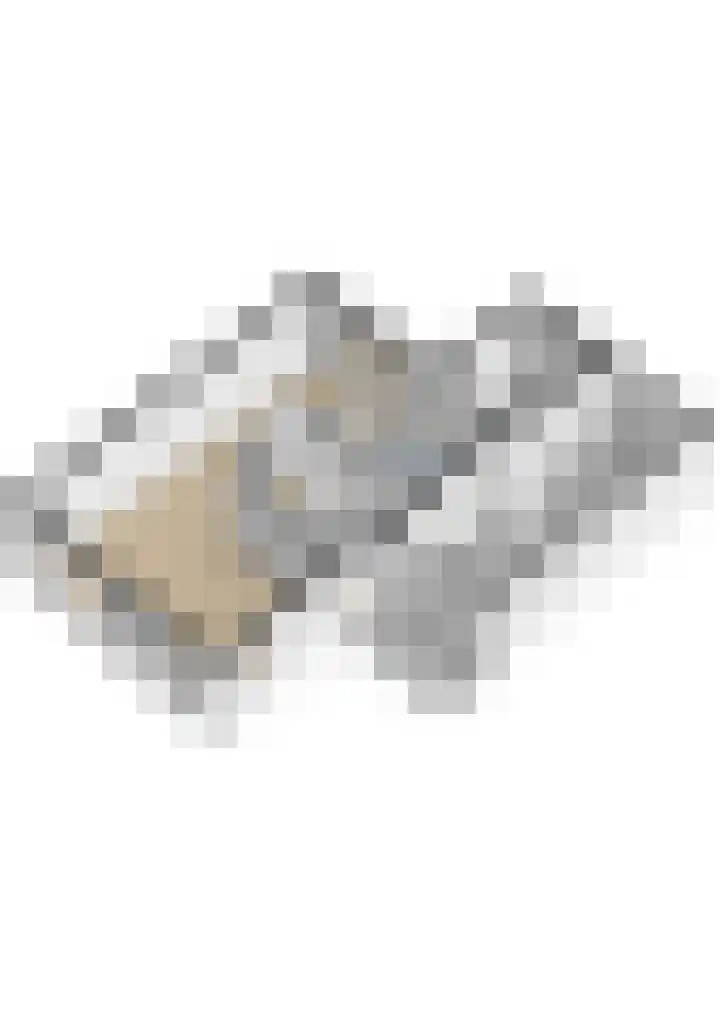 Kastanjelaan 12 Nieuwolda thumbnail 54