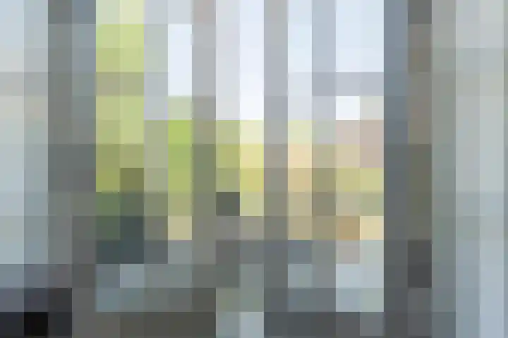 Kastanjelaan 12 Sassenheim thumbnail 11