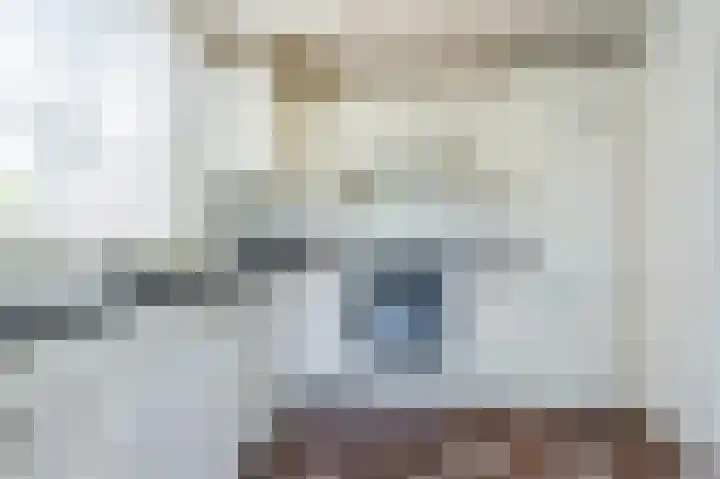 Kastanjelaan 12 Sassenheim thumbnail 15