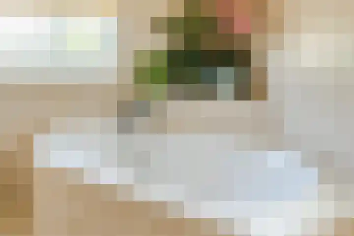 Kastanjelaan 12 Sassenheim thumbnail 27