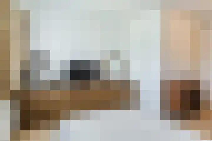 Kastanjelaan 12 Sassenheim thumbnail 31
