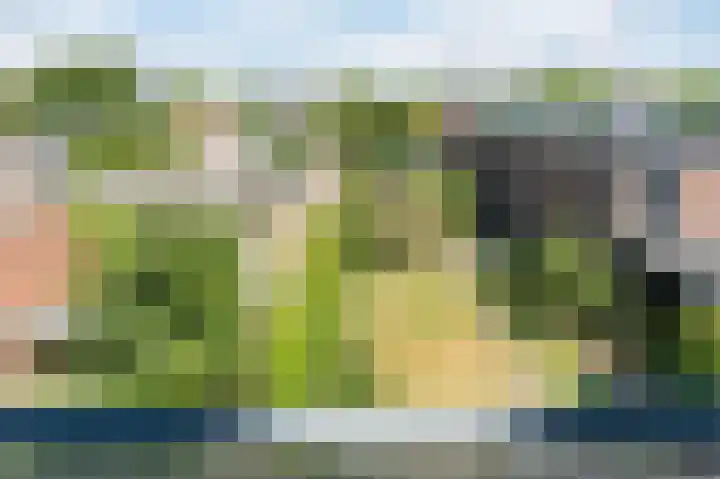 Kastanjelaan 12 Sassenheim thumbnail 35