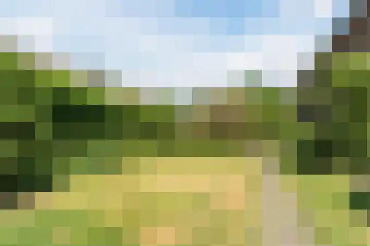 Kastanjelaan 12 Sassenheim thumbnail 38